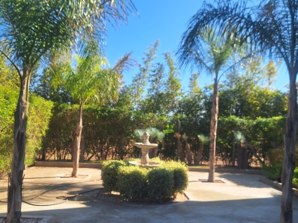 1000064409
