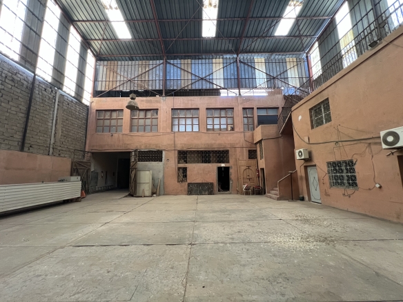 img 6715