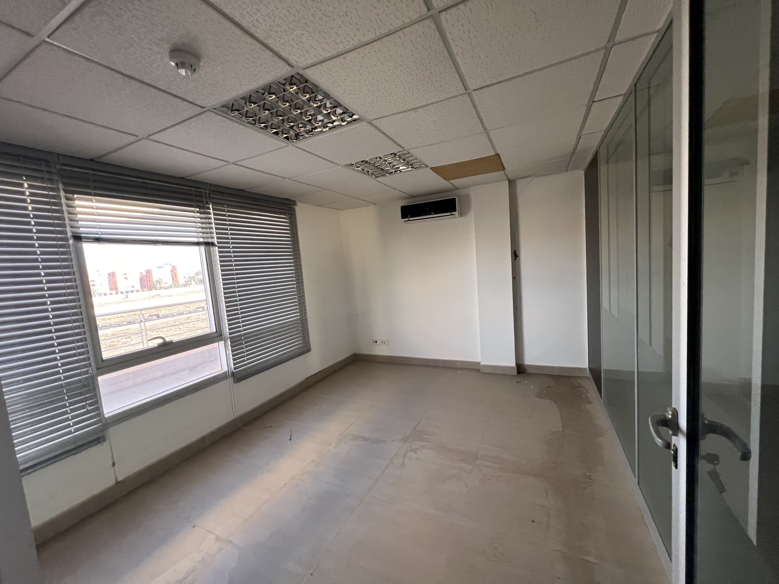 img 6785