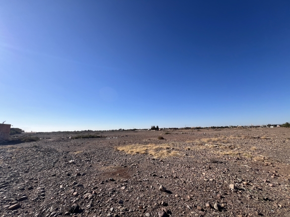 img 7446