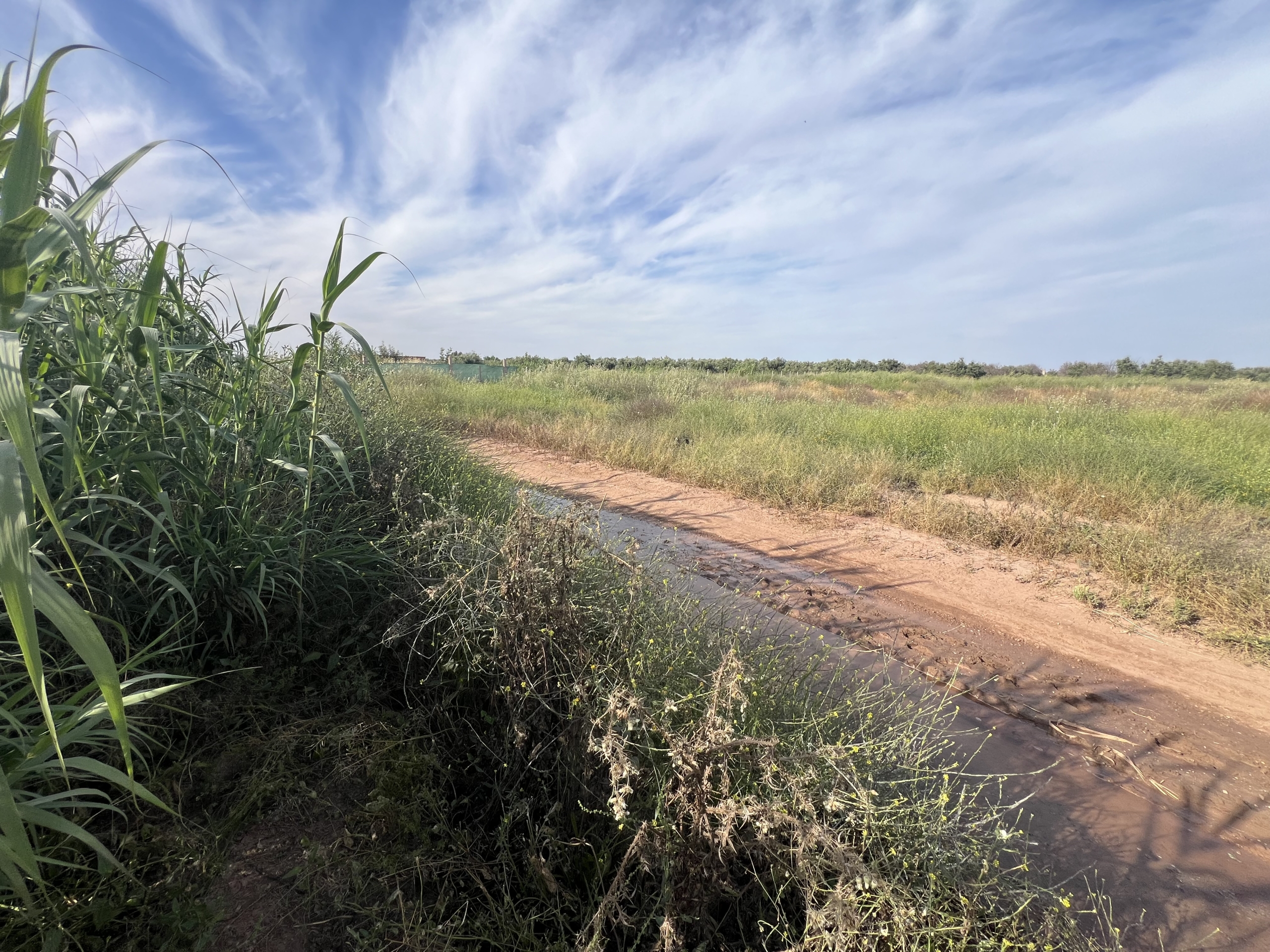 img 4532